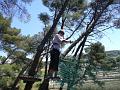 2010-08 Acrobranches 0012